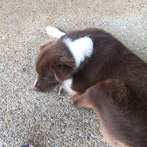 Meet your Posher, Jill